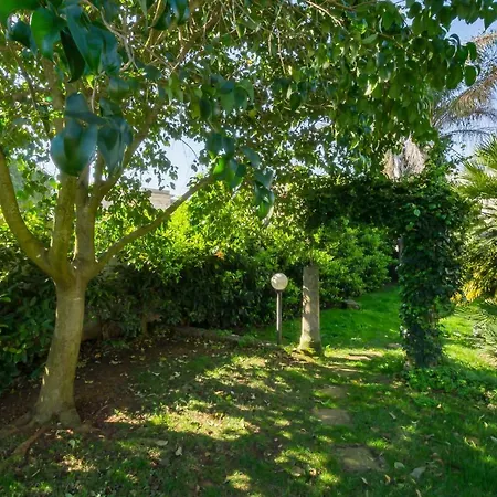 Palazzo Ashian 3* プレシッチェ